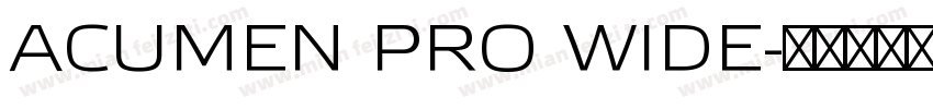 ACUMEN PRO WIDE字体转换